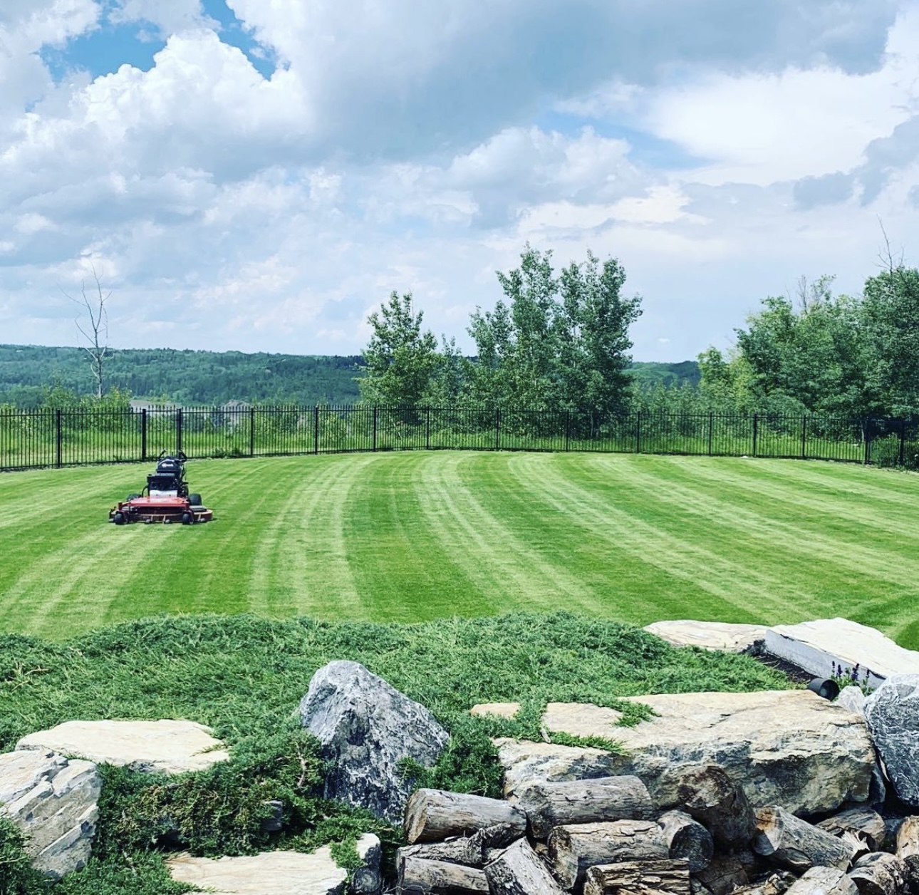 Magenta Progreen Landscape photo 1